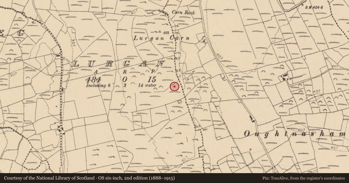 Ordnance Survey six-inch map, 2nd edition (1888–1915) covering the location of Hut site, Lurgan, County Donegal, with a pin at the register's coordinates