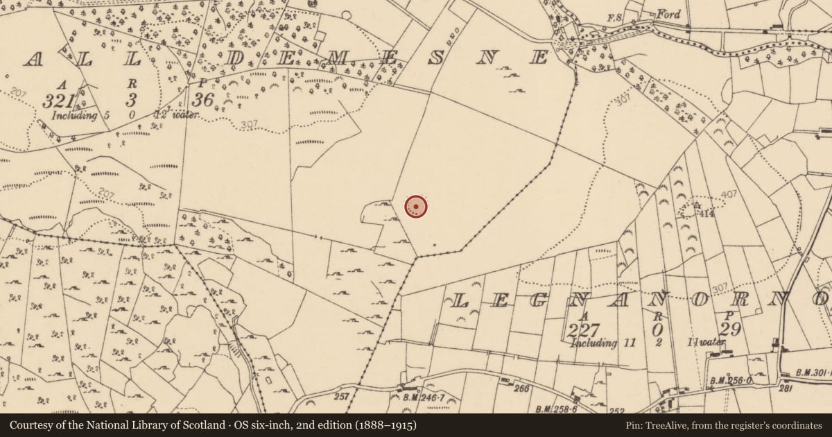 Ordnance Survey six-inch map, 2nd edition (1888–1915) covering the location of Ringfort - cashel, Brownhall Demesne, County Donegal, with a pin at the register's coordinates