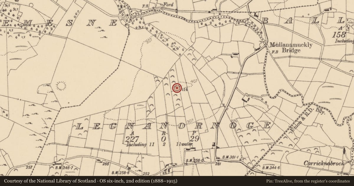 Ordnance Survey six-inch map, 2nd edition (1888–1915) covering the location of Ringfort - rath, Legnanornoge, County Donegal, with a pin at the register's coordinates