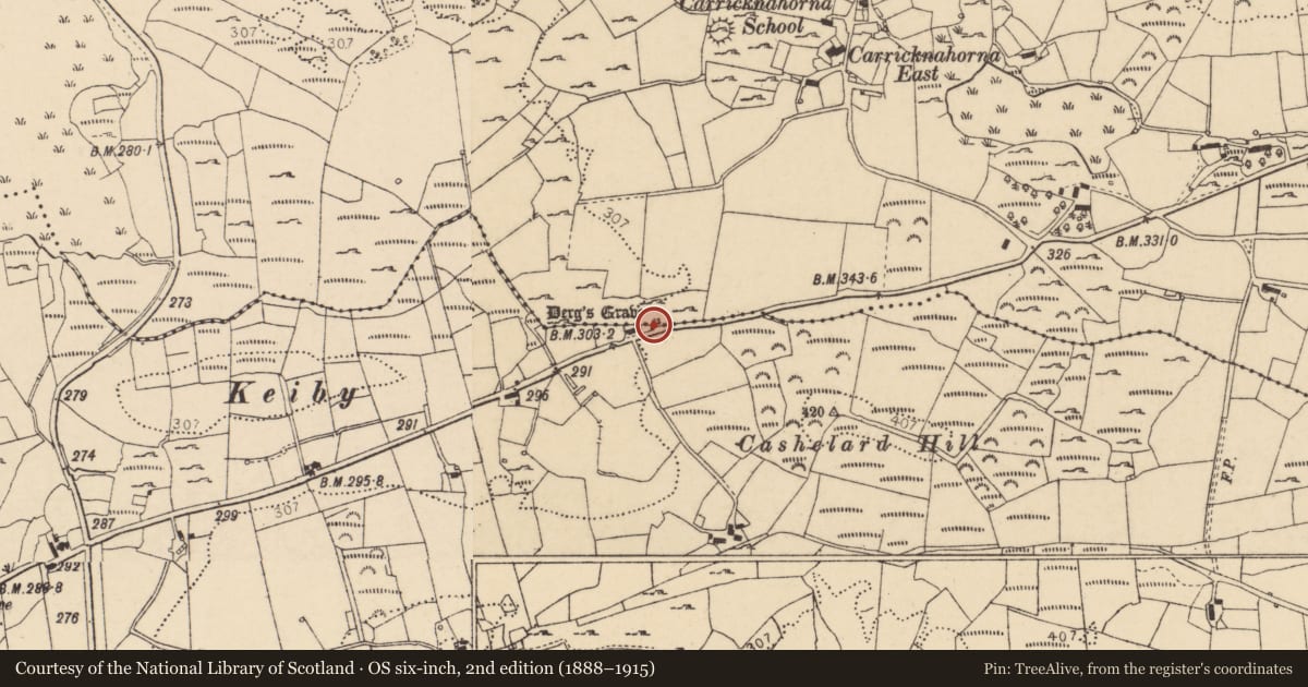 Ordnance Survey six-inch map, 2nd edition (1888–1915) covering the location of Megalithic tomb - unclassified, Carricknahorna, County Donegal, with a pin at the register's coordinates