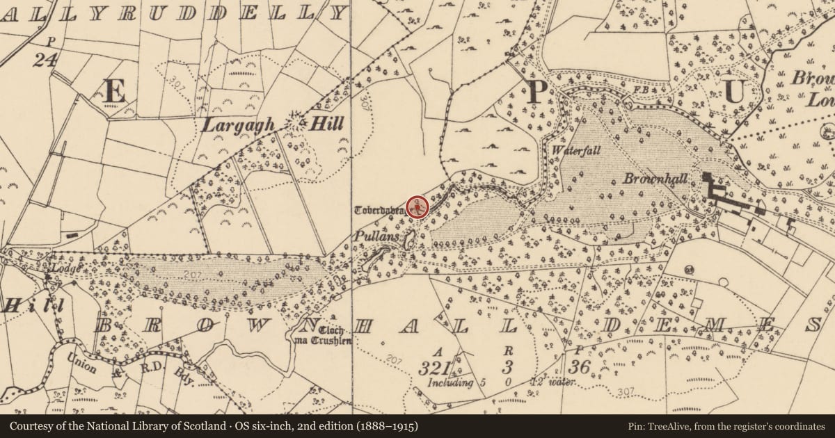 Ordnance Survey six-inch map, 2nd edition (1888–1915) covering the location of Well, Brownhall Demesne, County Donegal, with a pin at the register's coordinates