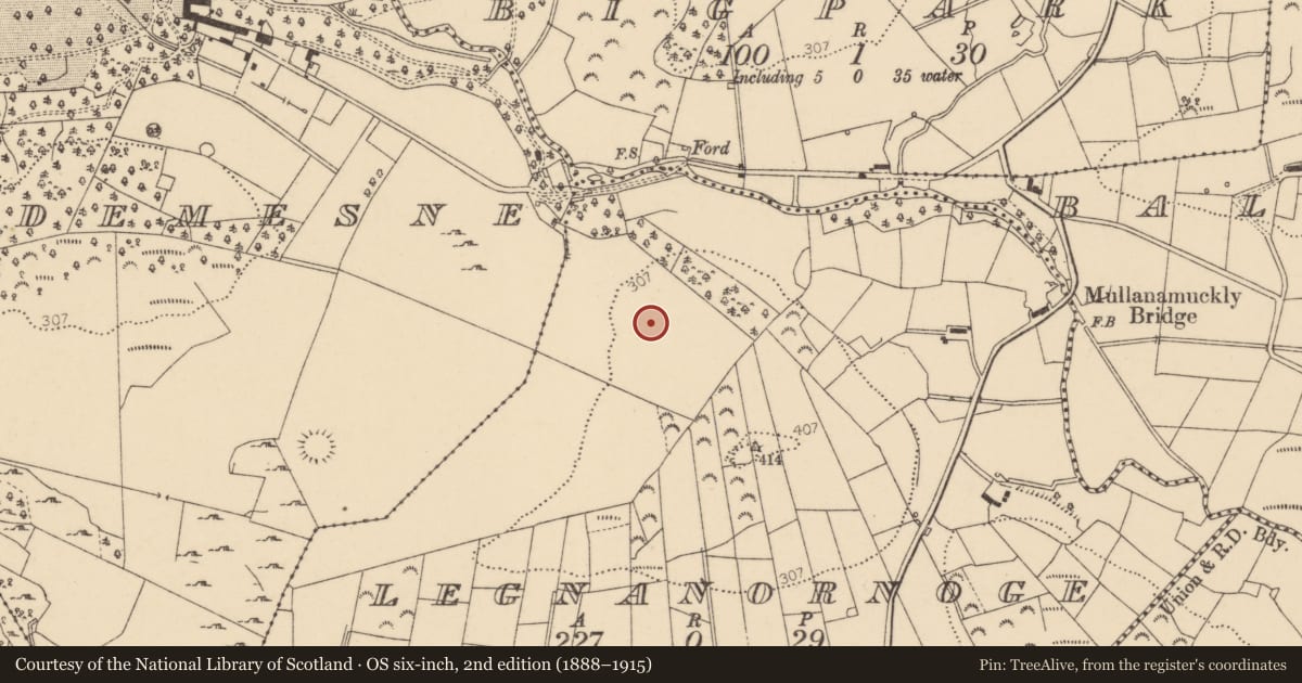 Ordnance Survey six-inch map, 2nd edition (1888–1915) covering the location of Ringfort - rath, Legnanornoge, County Donegal, with a pin at the register's coordinates