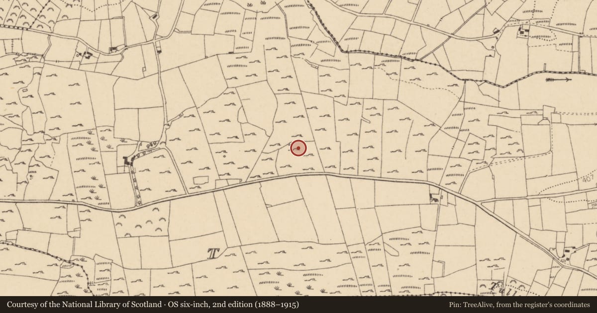 Ordnance Survey six-inch map, 2nd edition (1888–1915) covering the location of Enclosure, Tober, County Donegal, with a pin at the register's coordinates