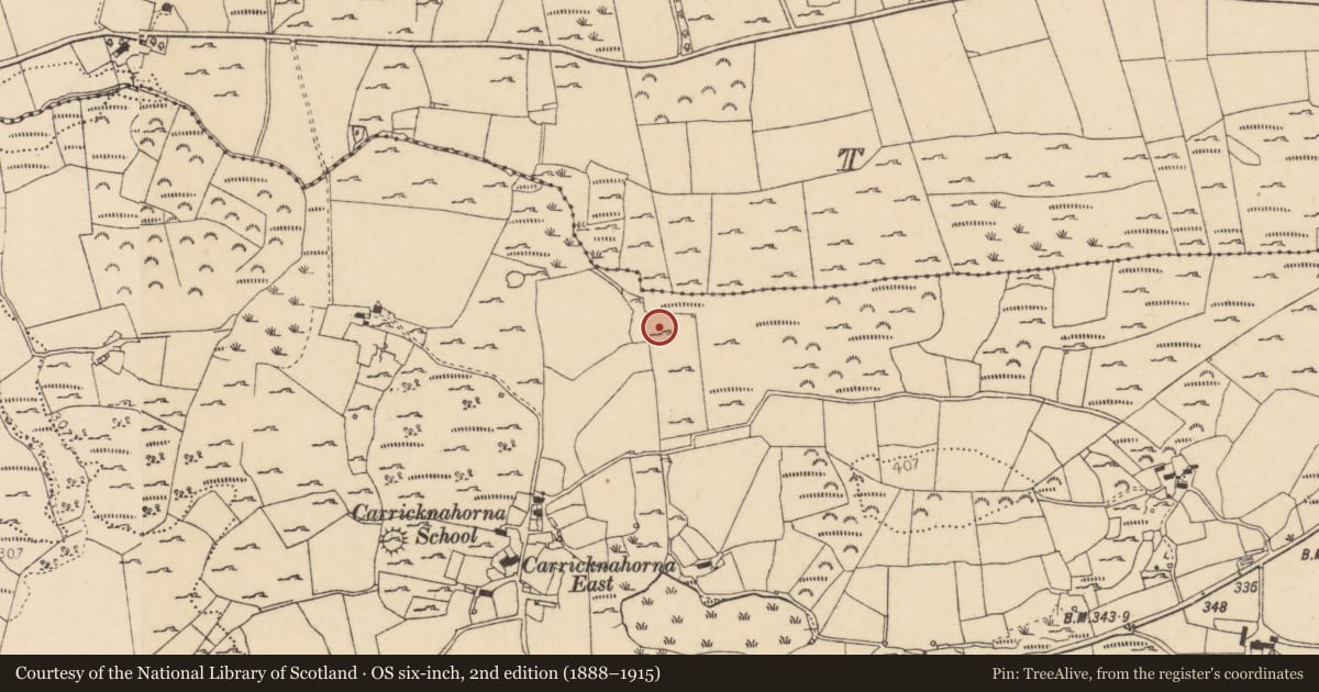 Ordnance Survey six-inch map, 2nd edition (1888–1915) covering the location of Ringfort - cashel, Carricknahorna, County Donegal, with a pin at the register's coordinates