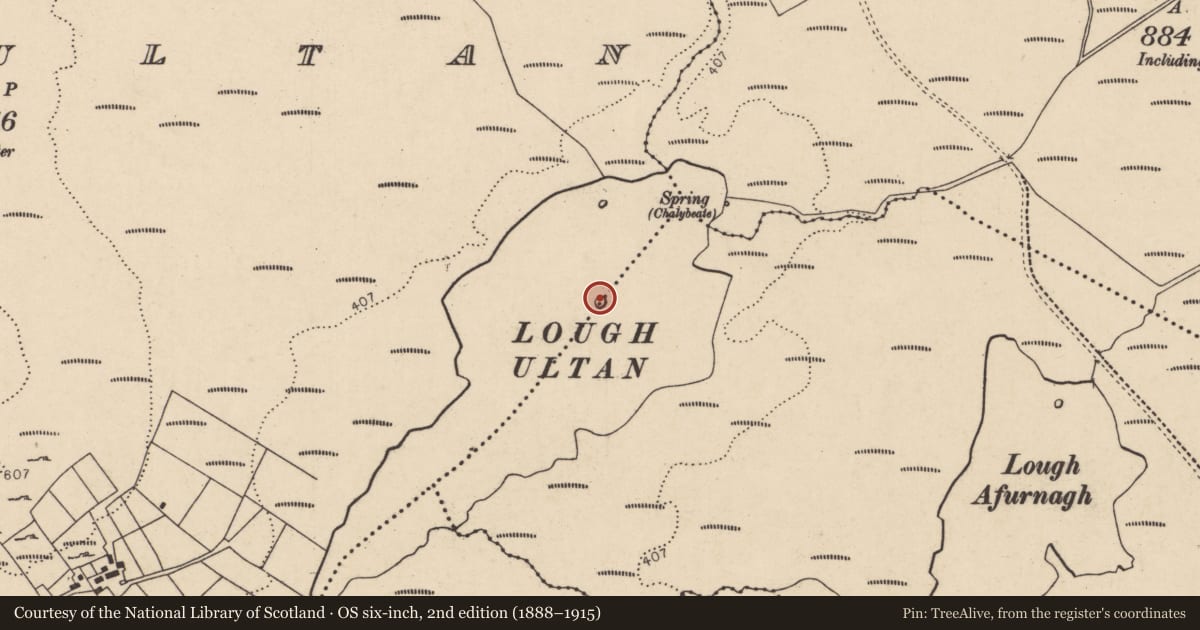 Ordnance Survey six-inch map, 2nd edition (1888–1915) covering the location of Crannog, Carrickrory, Loughultan, County Donegal, with a pin at the register's coordinates