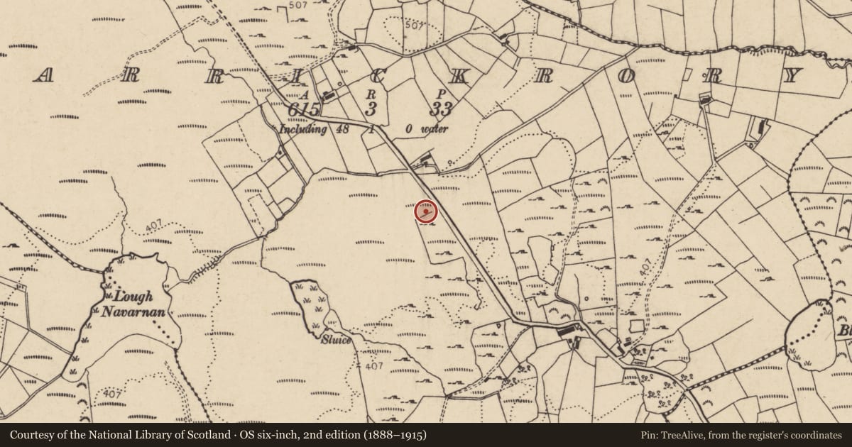 Ordnance Survey six-inch map, 2nd edition (1888–1915) covering the location of Ringfort - cashel, Carrickrory, County Donegal, with a pin at the register's coordinates