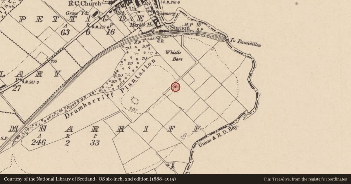 Ordnance Survey six-inch map, 2nd edition (1888–1915) covering the location of Ringfort - rath, Drumharriff, County Donegal, with a pin at the register's coordinates