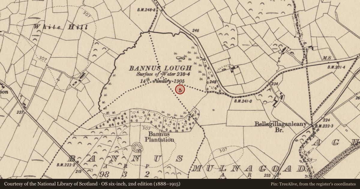 Ordnance Survey six-inch map, 2nd edition (1888–1915) covering the location of Crannog, Mulnagoad, County Donegal, with a pin at the register's coordinates
