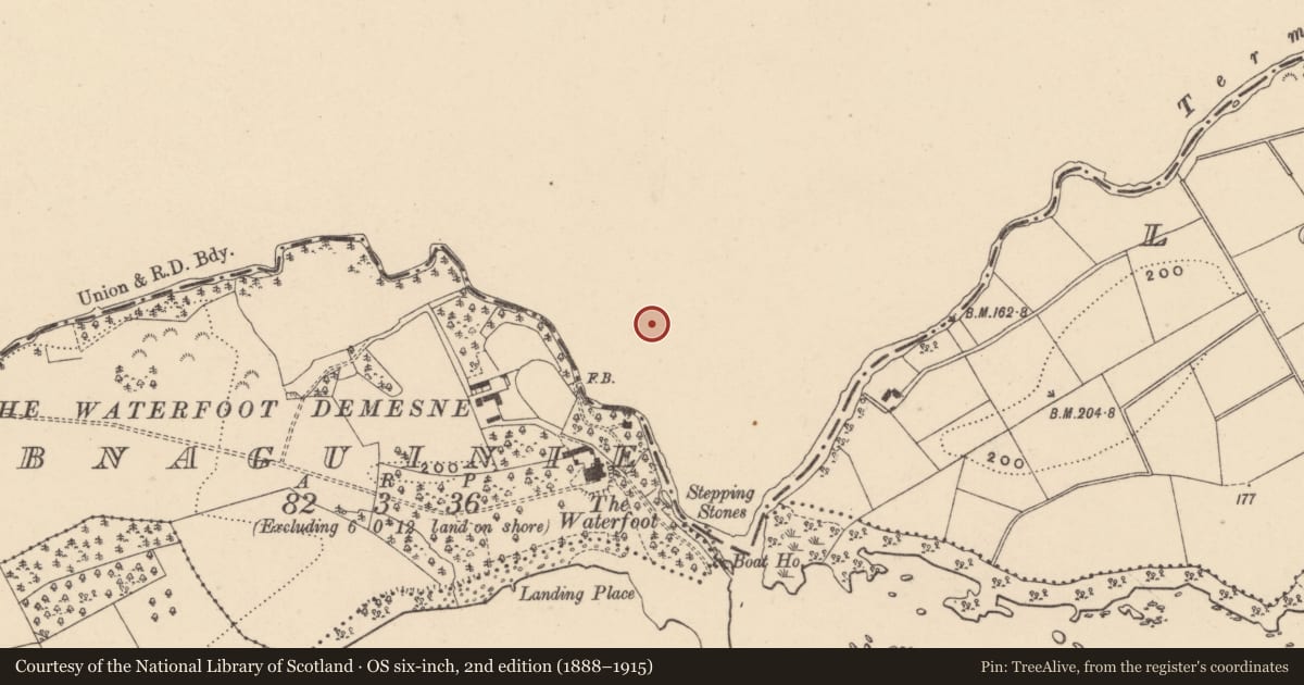 Ordnance Survey six-inch map, 2nd edition (1888–1915) covering the location of Castle - tower house, Aghnahoo Glebe, County Donegal, with a pin at the register's coordinates