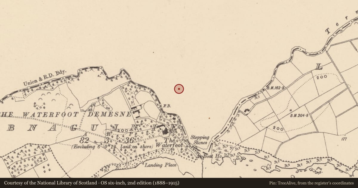Ordnance Survey six-inch map, 2nd edition (1888–1915) covering the location of Bawn, Aghnahoo Glebe, County Donegal, with a pin at the register's coordinates