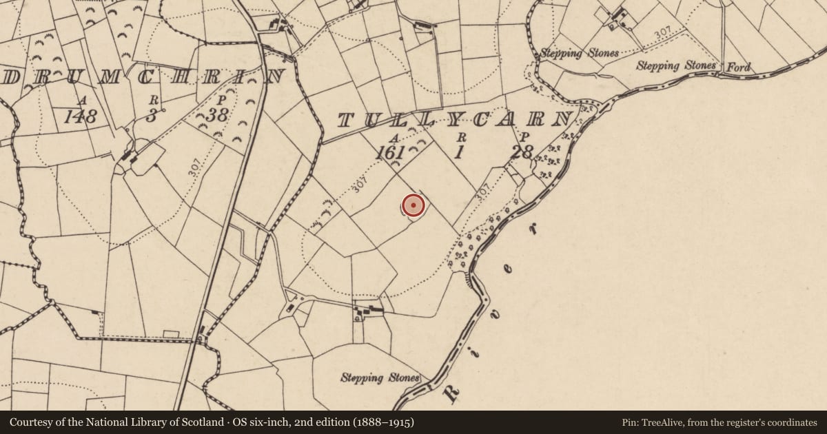 Ordnance Survey six-inch map, 2nd edition (1888–1915) covering the location of Ringfort - rath, Tullycarn, County Donegal, with a pin at the register's coordinates