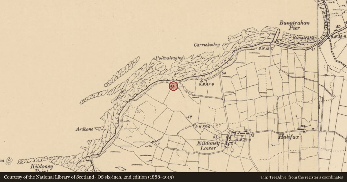 Ordnance Survey six-inch map, 2nd edition (1888–1915) covering the location of Ringfort - rath, Kildoney Glebe, County Donegal, with a pin at the register's coordinates
