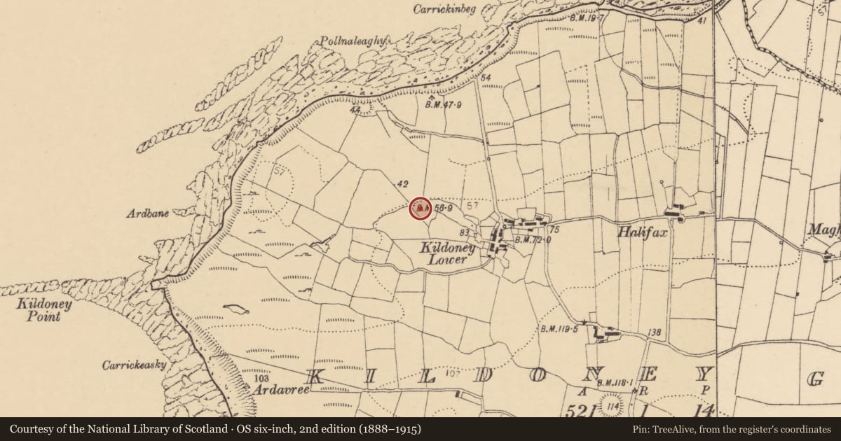 Ordnance Survey six-inch map, 2nd edition (1888–1915) covering the location of Enclosure, Kildoney Glebe, County Donegal, with a pin at the register's coordinates