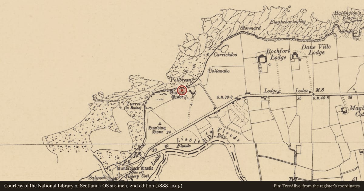 Ordnance Survey six-inch map, 2nd edition (1888–1915) covering the location of Megalithic tomb - passage tomb, Magheracar, County Donegal, with a pin at the register's coordinates