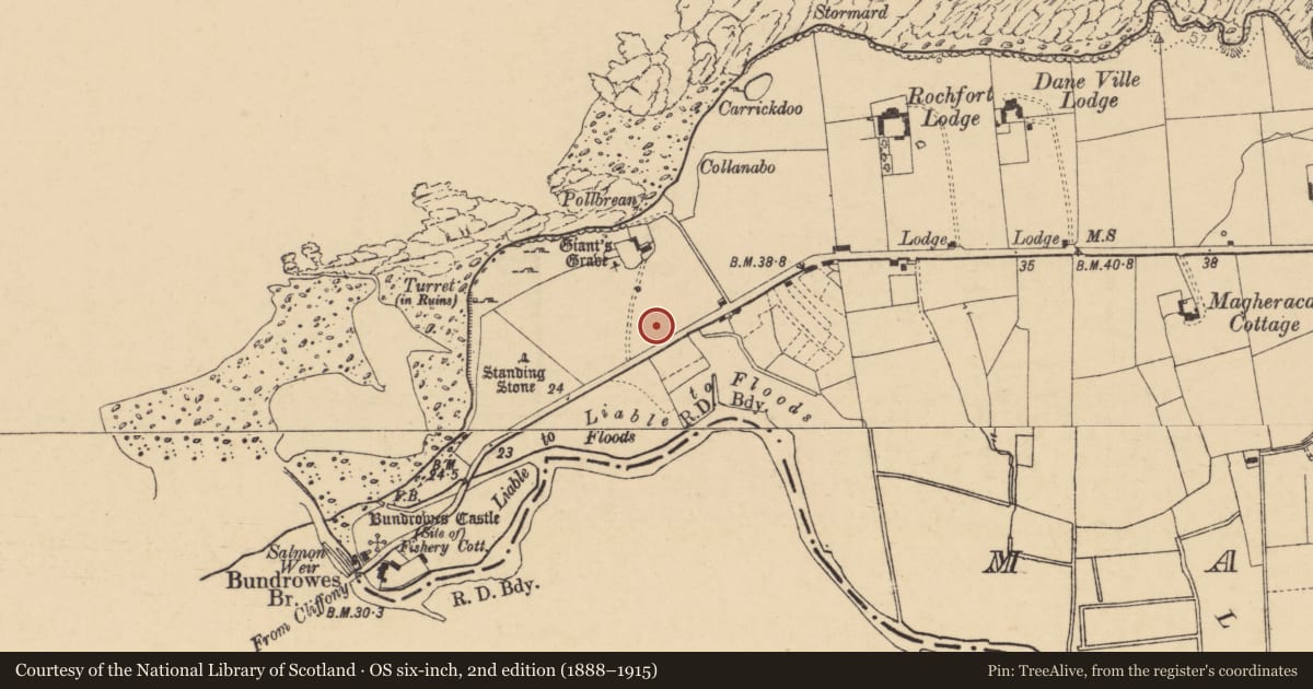 Ordnance Survey six-inch map, 2nd edition (1888–1915) covering the location of Standing stone, Magheracar, County Donegal, with a pin at the register's coordinates