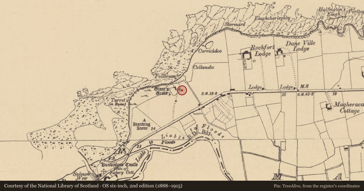 Ordnance Survey six-inch map, 2nd edition (1888–1915) covering the location of Megalithic tomb - wedge tomb, Magheracar, County Donegal, with a pin at the register's coordinates