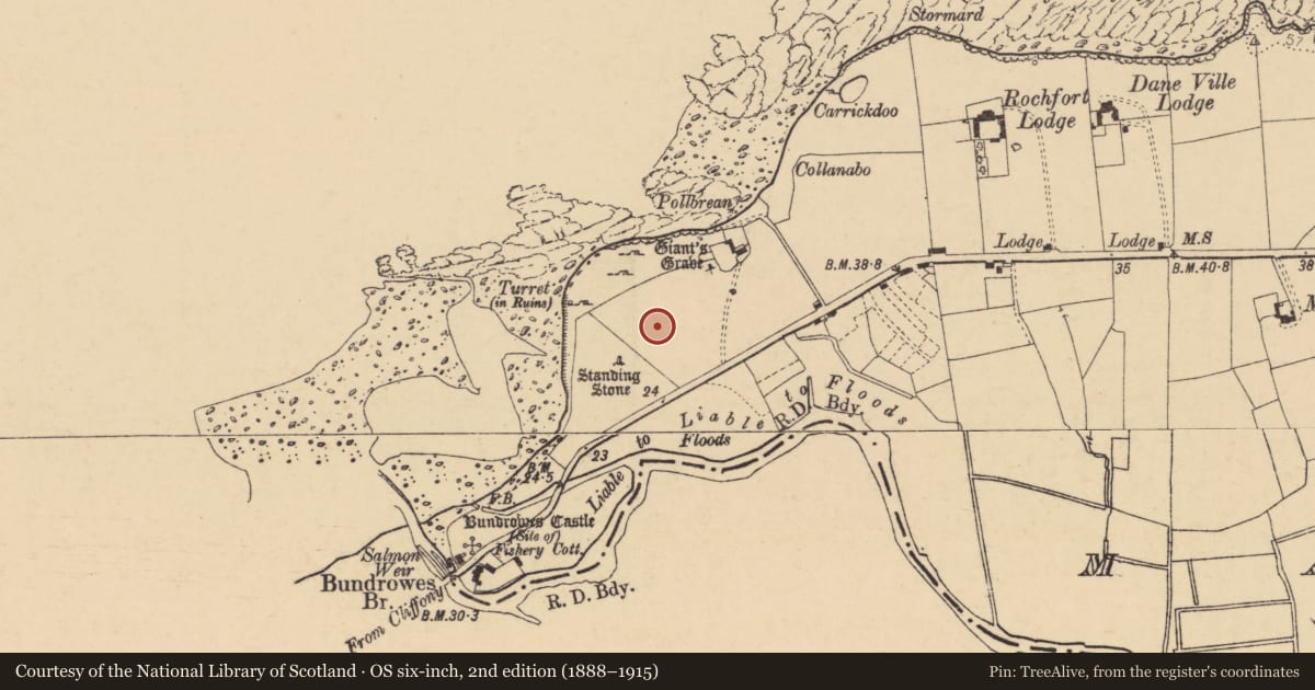 Ordnance Survey six-inch map, 2nd edition (1888–1915) covering the location of Stone circle, Magheracar, County Donegal, with a pin at the register's coordinates