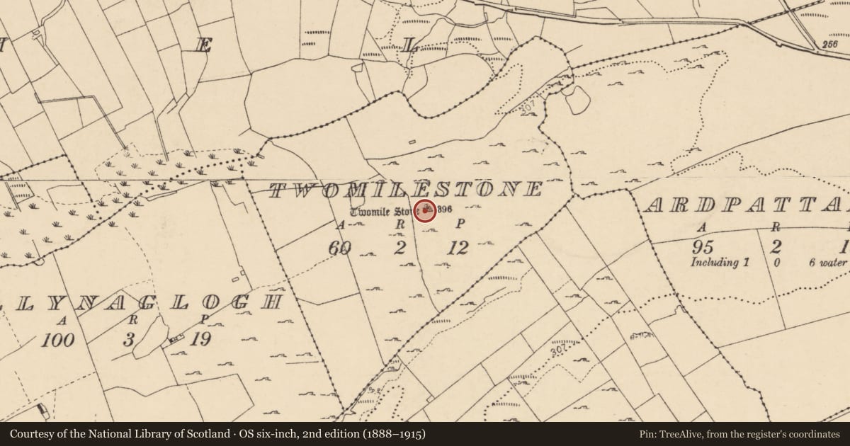 Ordnance Survey six-inch map, 2nd edition (1888–1915) covering the location of Standing stone, Twomilestone, County Donegal, with a pin at the register's coordinates