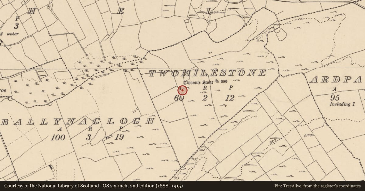 Ordnance Survey six-inch map, 2nd edition (1888–1915) covering the location of Ringfort - cashel, Twomilestone, County Donegal, with a pin at the register's coordinates