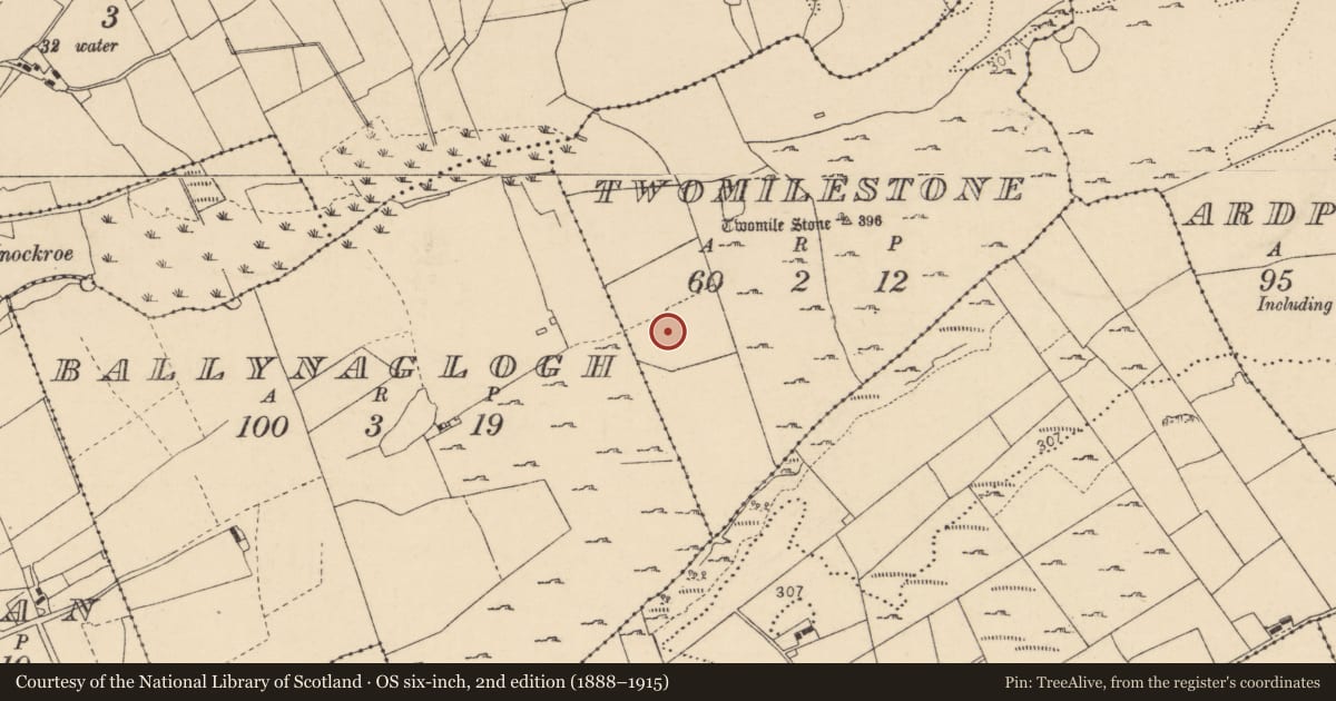 Ordnance Survey six-inch map, 2nd edition (1888–1915) covering the location of Enclosure, Twomilestone, County Donegal, with a pin at the register's coordinates