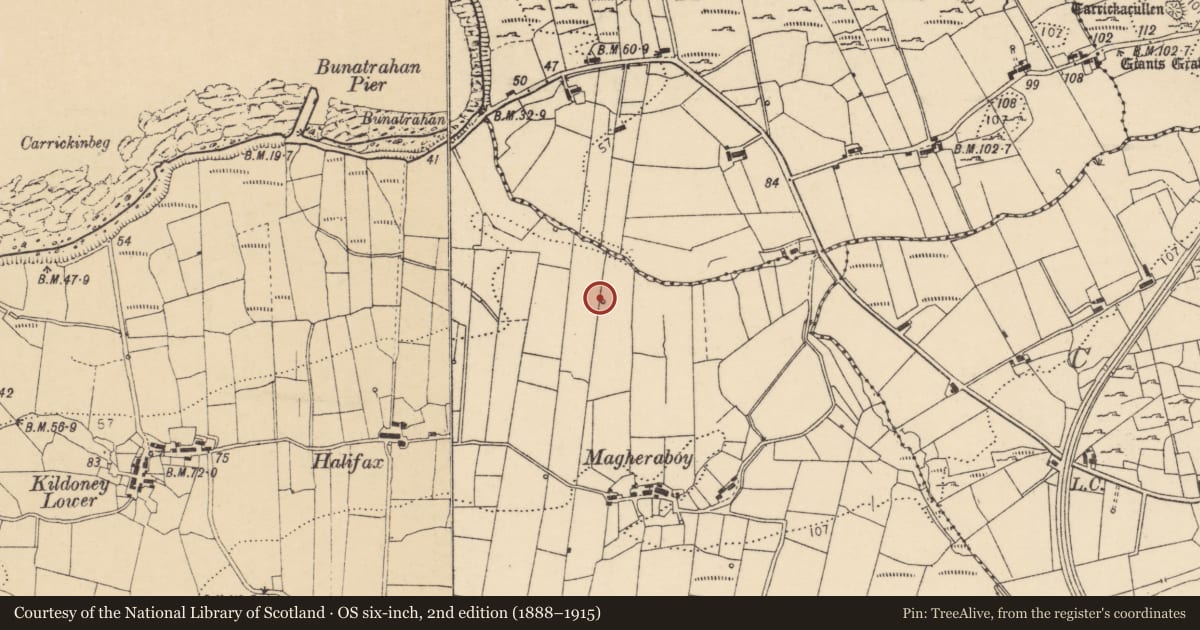 Ordnance Survey six-inch map, 2nd edition (1888–1915) covering the location of Ritual site - holy well, Kildoney Glebe, County Donegal, with a pin at the register's coordinates