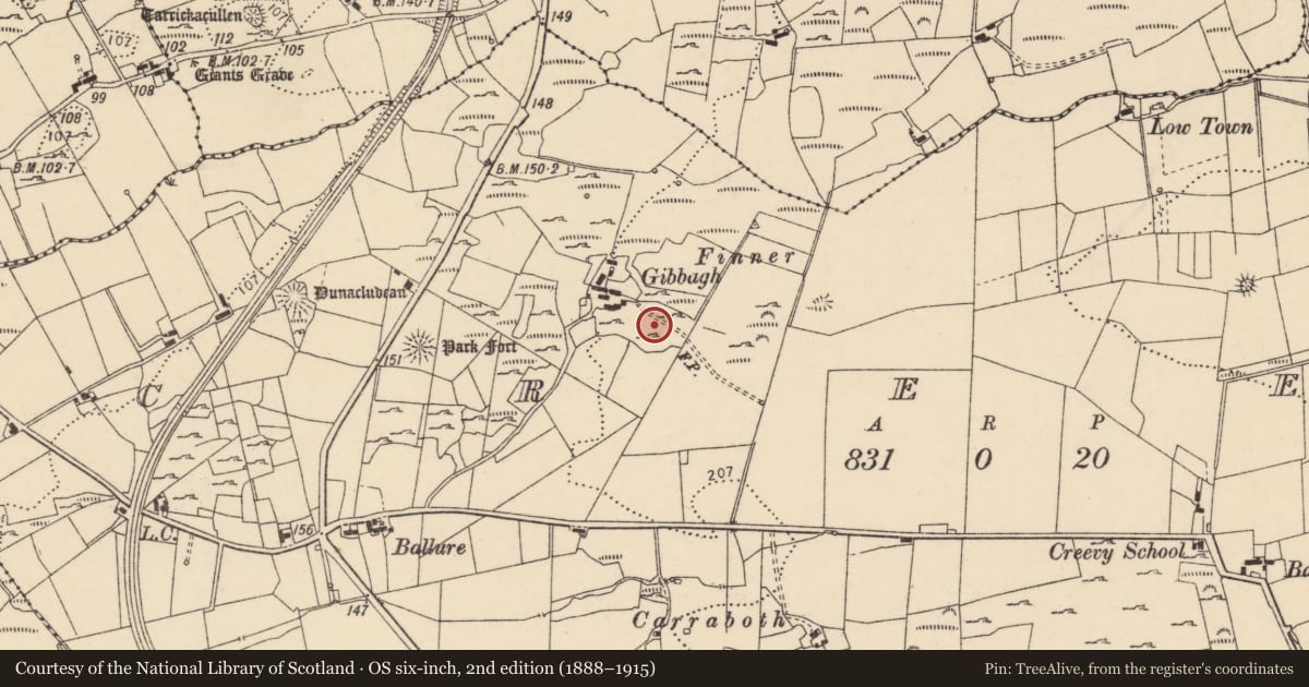 Ordnance Survey six-inch map, 2nd edition (1888–1915) covering the location of Ringfort - cashel, Creevy, County Donegal, with a pin at the register's coordinates