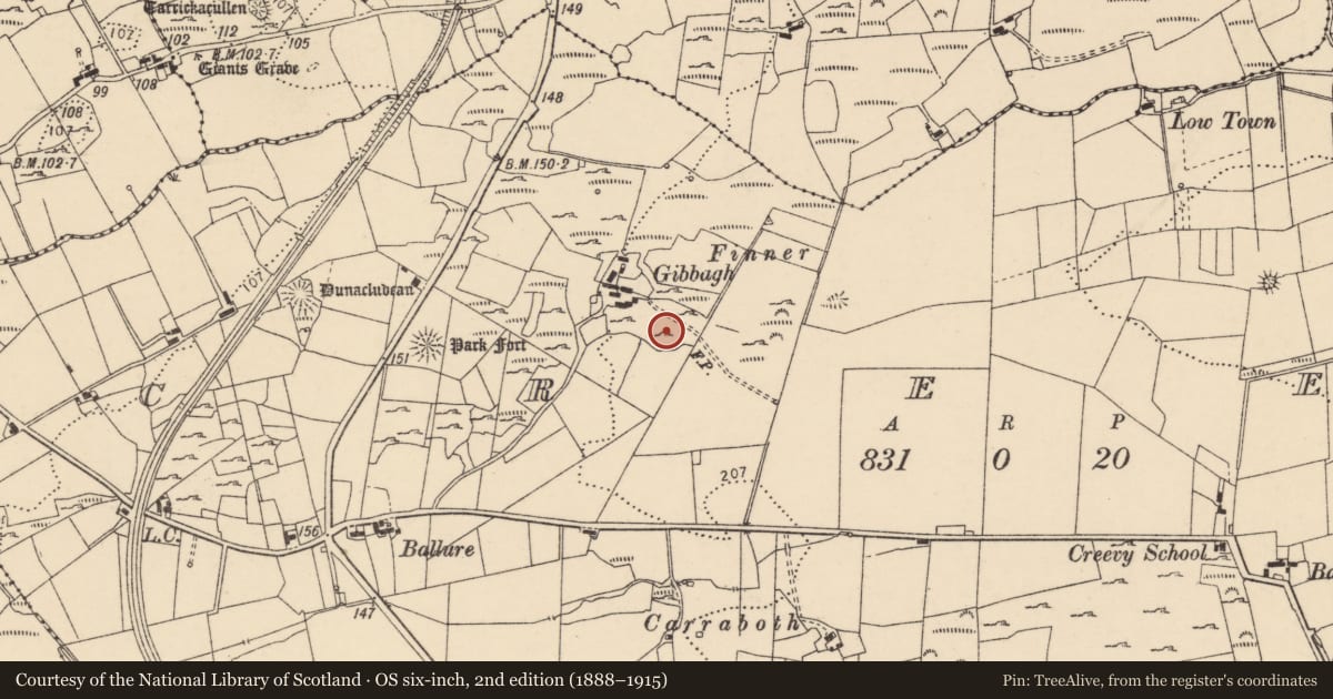 Ordnance Survey six-inch map, 2nd edition (1888–1915) covering the location of Souterrain, Creevy, County Donegal, with a pin at the register's coordinates