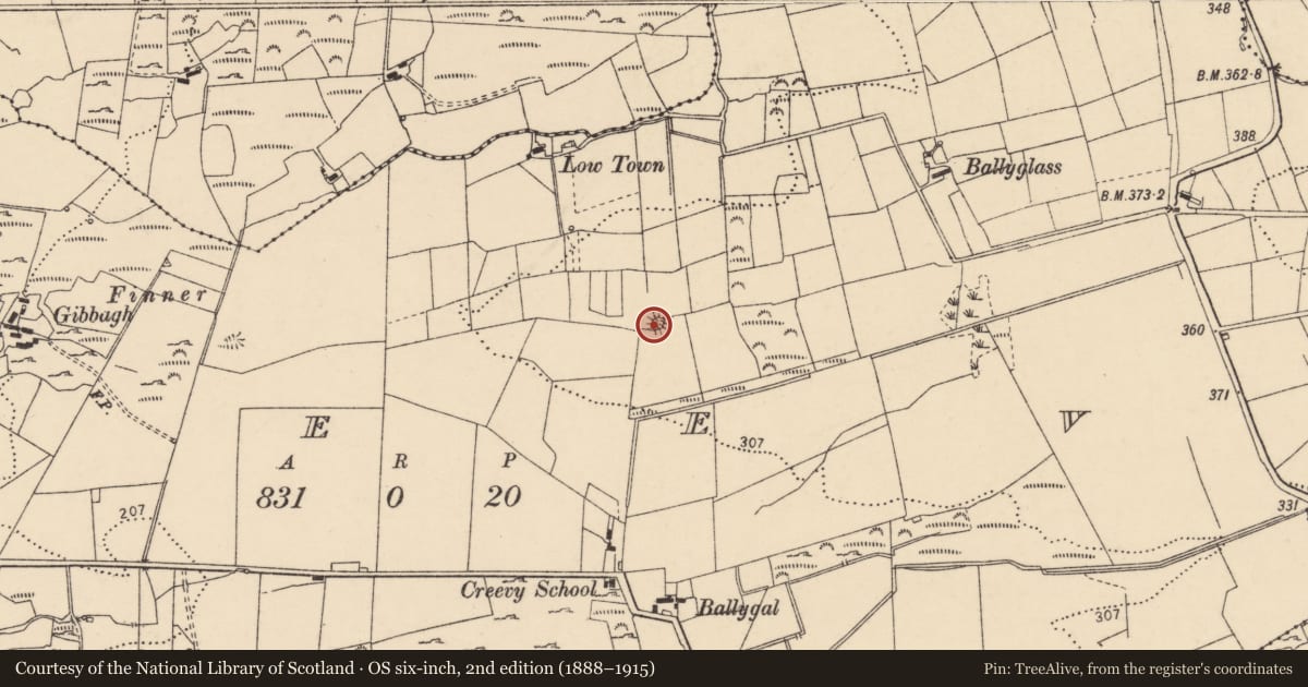 Ordnance Survey six-inch map, 2nd edition (1888–1915) covering the location of Ringfort - rath, Creevy, County Donegal, with a pin at the register's coordinates