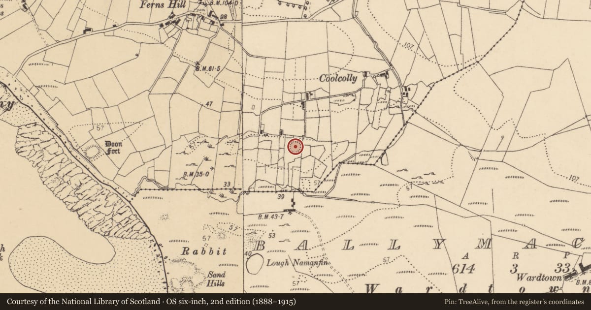 Ordnance Survey six-inch map, 2nd edition (1888–1915) covering the location of Ringfort - cashel, Kildoney Glebe, County Donegal, with a pin at the register's coordinates