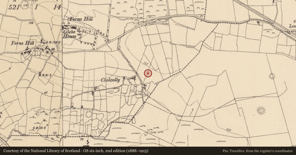 Ordnance Survey six-inch map, 2nd edition (1888–1915) covering the location of Enclosure, Kildoney Glebe, County Donegal, with a pin at the register's coordinates