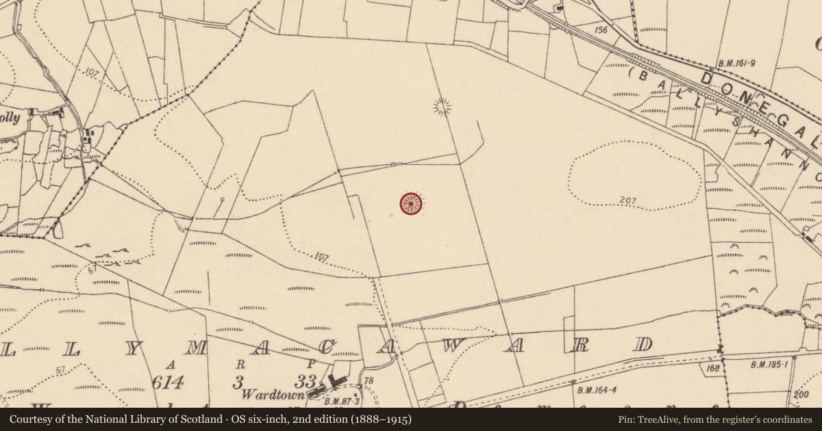 Ordnance Survey six-inch map, 2nd edition (1888–1915) covering the location of Ringfort - rath, Ballymacaward, County Donegal, with a pin at the register's coordinates