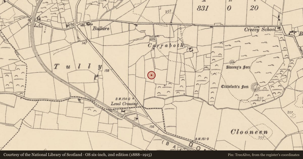 Ordnance Survey six-inch map, 2nd edition (1888–1915) covering the location of Ringfort - rath, Creevy, County Donegal, with a pin at the register's coordinates