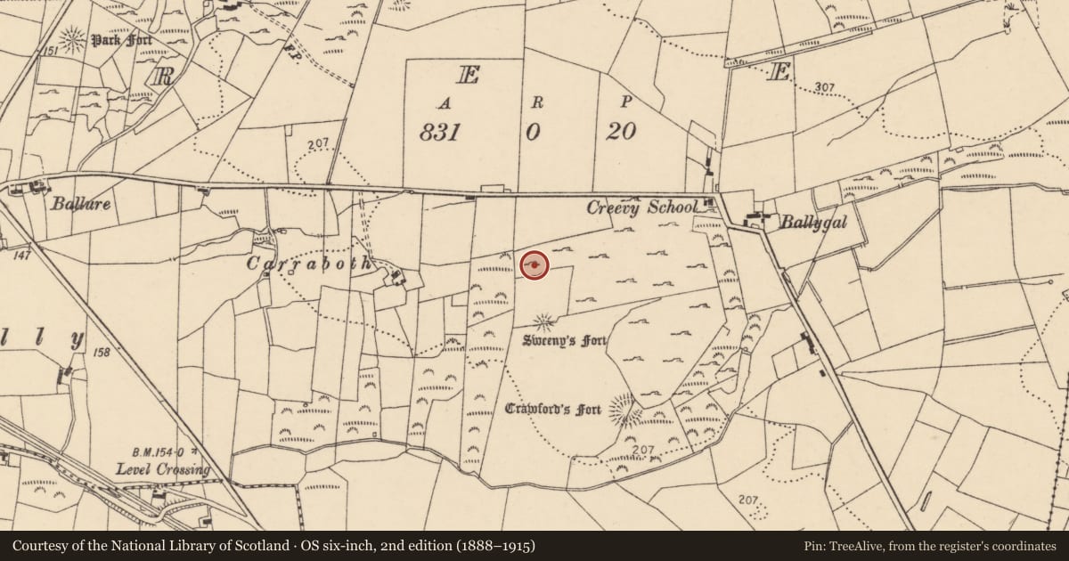 Ordnance Survey six-inch map, 2nd edition (1888–1915) covering the location of Ringfort - cashel, Creevy, County Donegal, with a pin at the register's coordinates