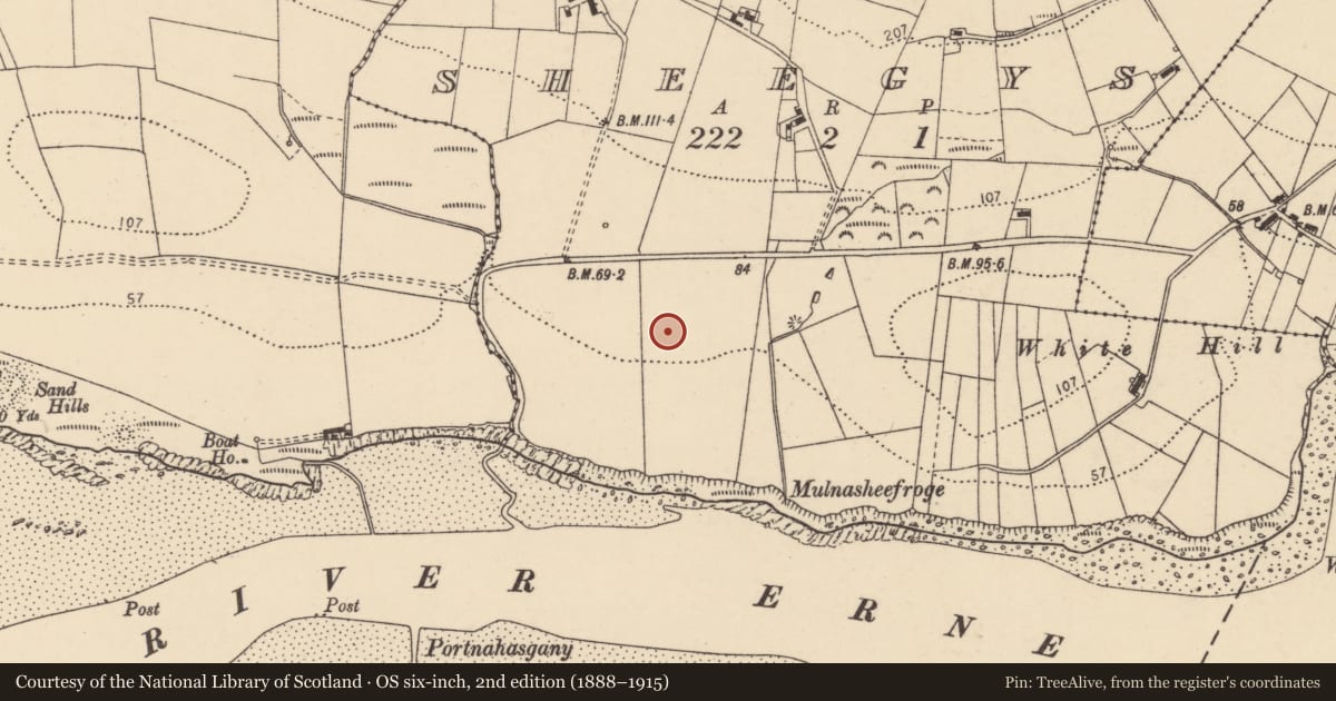 Ordnance Survey six-inch map, 2nd edition (1888–1915) covering the location of Standing stone, Sheegys, County Donegal, with a pin at the register's coordinates