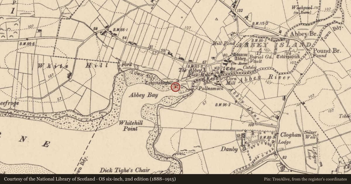 Ordnance Survey six-inch map, 2nd edition (1888–1915) covering the location of Ritual site - holy well, Abbeylands, County Donegal, with a pin at the register's coordinates