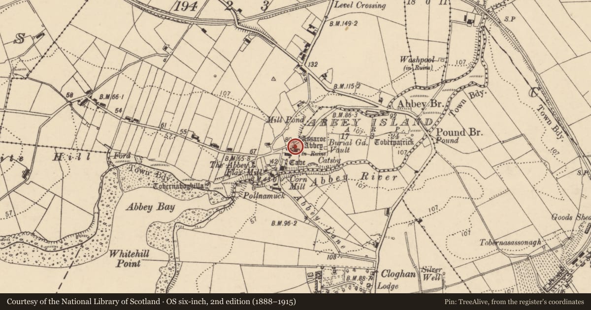 Ordnance Survey six-inch map, 2nd edition (1888–1915) covering the location of Religious house - Cistercian monks, Abbey Island, County Donegal, with a pin at the register's coordinates