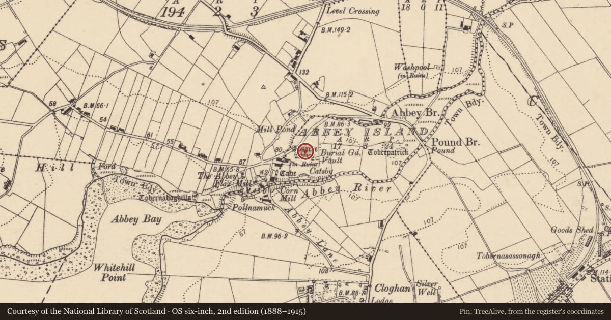 Ordnance Survey six-inch map, 2nd edition (1888–1915) covering the location of Graveyard, Abbey Island, County Donegal, with a pin at the register's coordinates