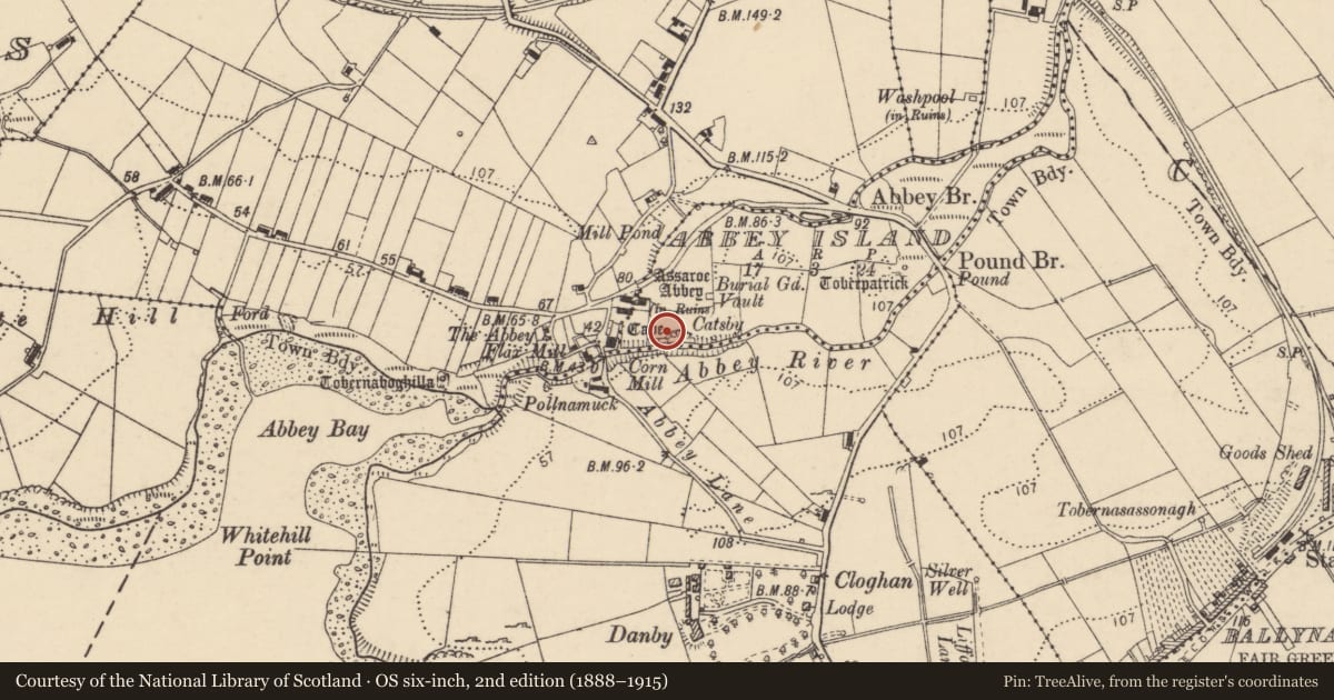 Ordnance Survey six-inch map, 2nd edition (1888–1915) covering the location of Cave, Abbey Island, County Donegal, with a pin at the register's coordinates