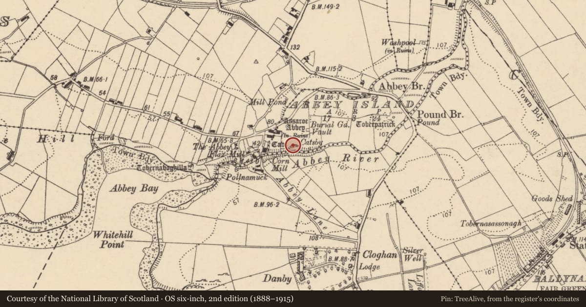 Ordnance Survey six-inch map, 2nd edition (1888–1915) covering the location of Bullaun stone, Abbey Island, County Donegal, with a pin at the register's coordinates