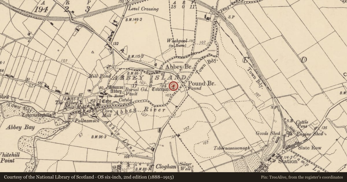 Ordnance Survey six-inch map, 2nd edition (1888–1915) covering the location of Ritual site - holy well, Abbey Island, County Donegal, with a pin at the register's coordinates