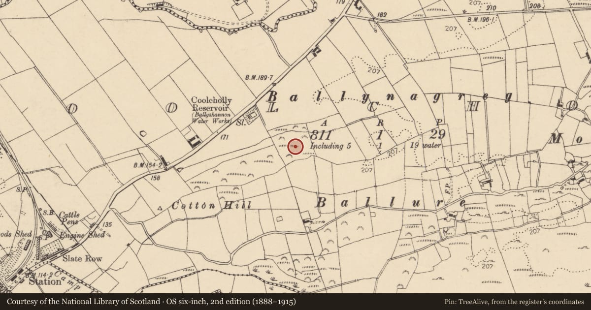Ordnance Survey six-inch map, 2nd edition (1888–1915) covering the location of Standing stone, Coolcholly, County Donegal, with a pin at the register's coordinates