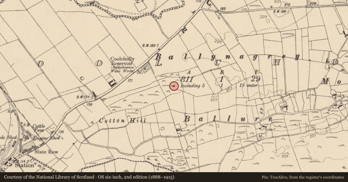 Ordnance Survey six-inch map, 2nd edition (1888–1915) covering the location of Standing stone, Coolcholly, County Donegal, with a pin at the register's coordinates