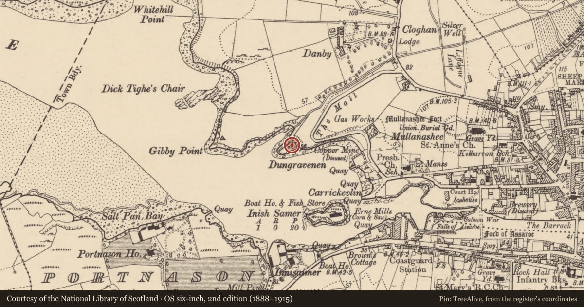 Ordnance Survey six-inch map, 2nd edition (1888–1915) covering the location of Promontory fort - coastal, Townparks, County Donegal, with a pin at the register's coordinates