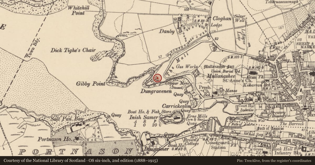 Ordnance Survey six-inch map, 2nd edition (1888–1915) covering the location of Barrow - ring-barrow, Townparks, County Donegal, with a pin at the register's coordinates