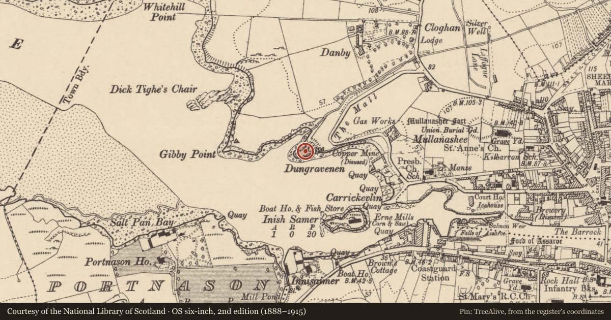 Ordnance Survey six-inch map, 2nd edition (1888–1915) covering the location of Souterrain, Townparks, County Donegal, with a pin at the register's coordinates