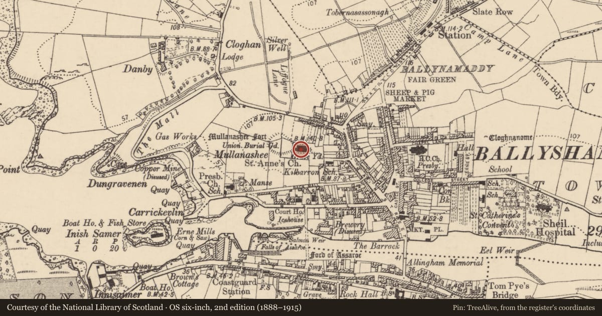 Ordnance Survey six-inch map, 2nd edition (1888–1915) covering the location of Church, Townparks, County Donegal, with a pin at the register's coordinates