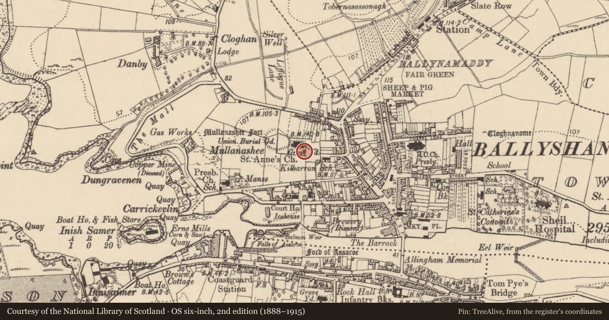 Ordnance Survey six-inch map, 2nd edition (1888–1915) covering the location of Graveslab, Townparks, County Donegal, with a pin at the register's coordinates