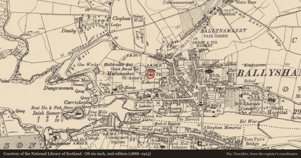Ordnance Survey six-inch map, 2nd edition (1888–1915) covering the location of Graveslab, Townparks, County Donegal, with a pin at the register's coordinates