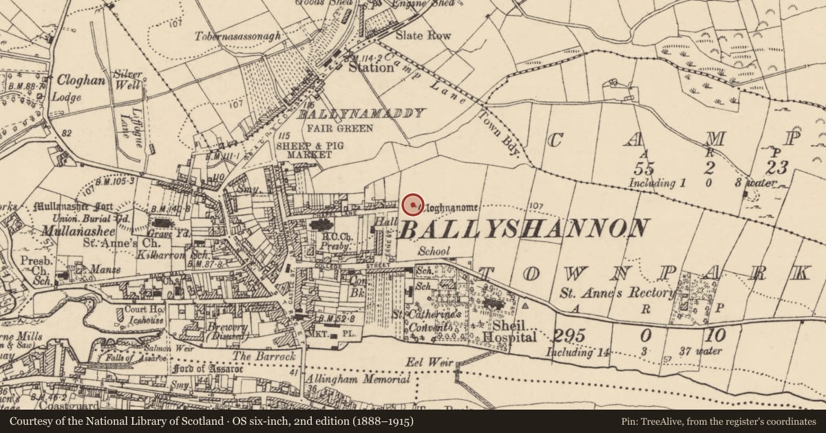 Ordnance Survey six-inch map, 2nd edition (1888–1915) covering the location of Standing stone, Townparks, County Donegal, with a pin at the register's coordinates