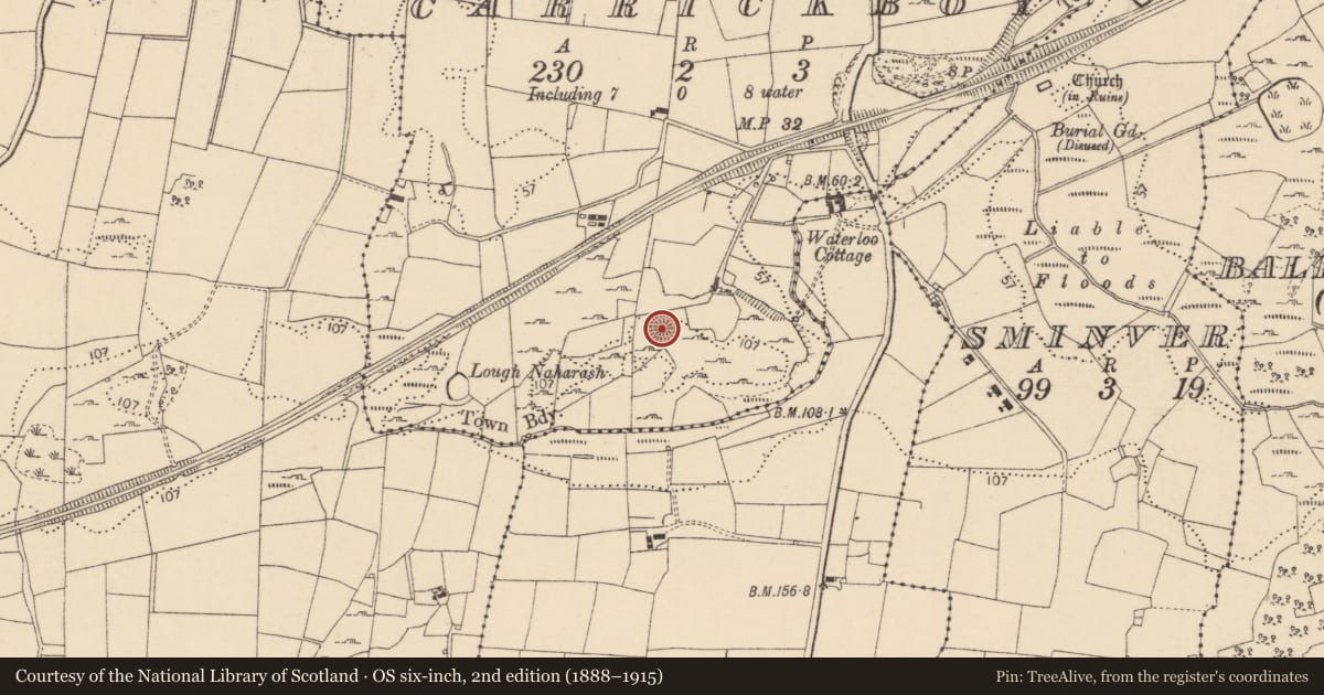 Ordnance Survey six-inch map, 2nd edition (1888–1915) covering the location of Ringfort - cashel, Carrickboy, County Donegal, with a pin at the register's coordinates